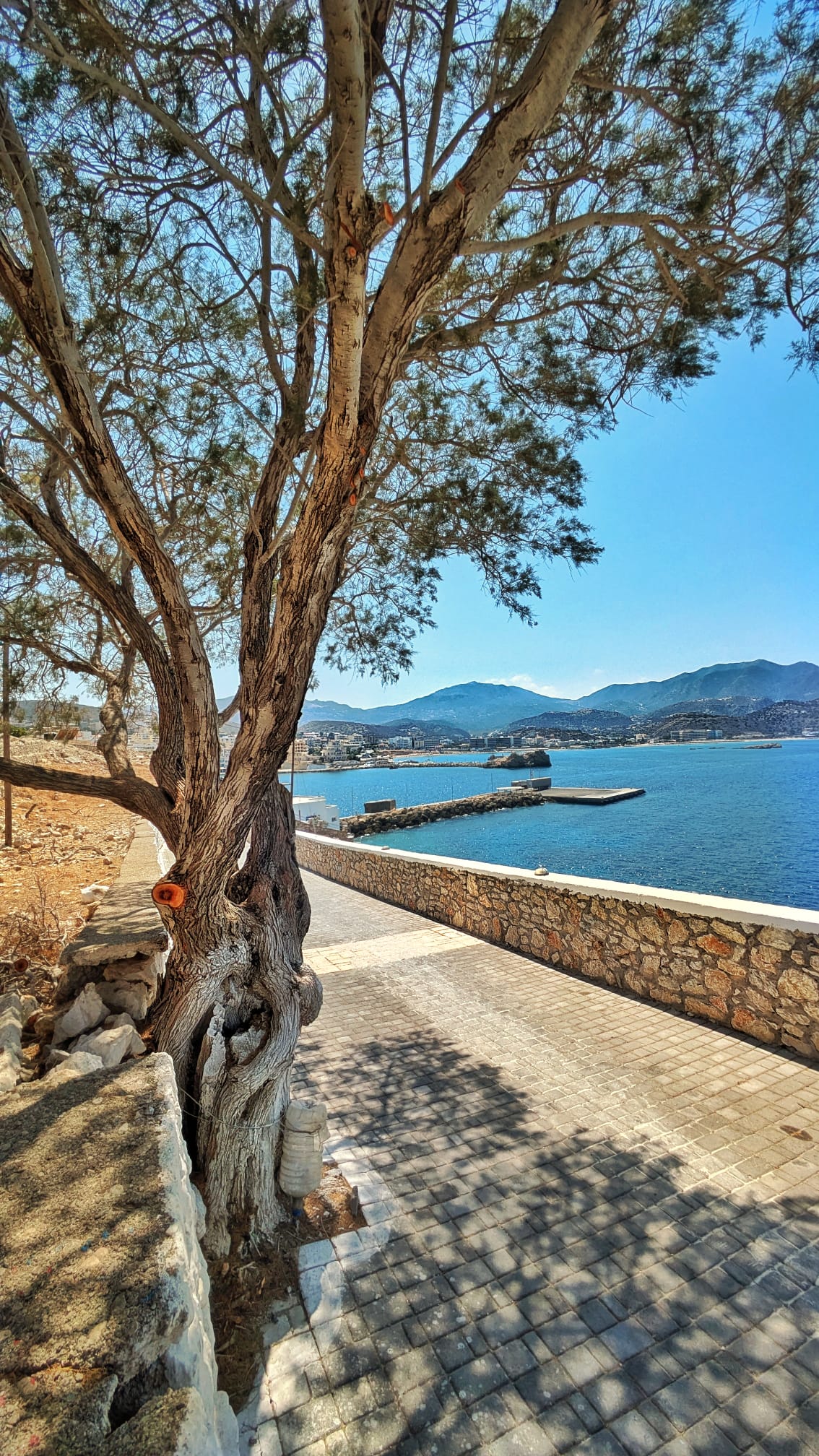 Sentiero costiero battuto dal vento tra la vegetazione mediterranea di Karpathos